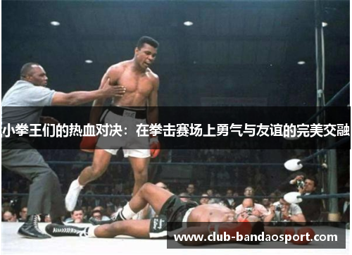 小拳王们的热血对决：在拳击赛场上勇气与友谊的完美交融