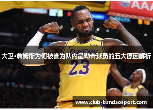大卫·詹姆斯为何被誉为队内最勤奋球员的五大原因解析