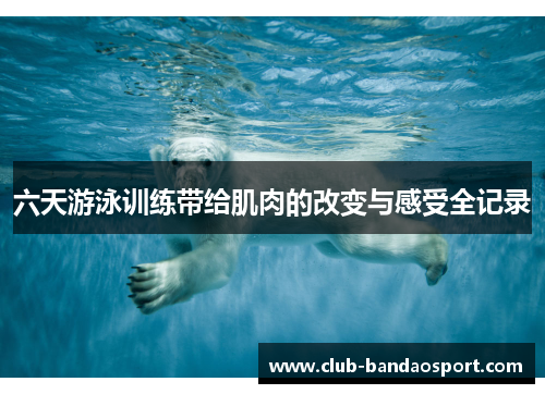 六天游泳训练带给肌肉的改变与感受全记录