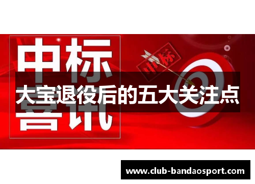 大宝退役后的五大关注点