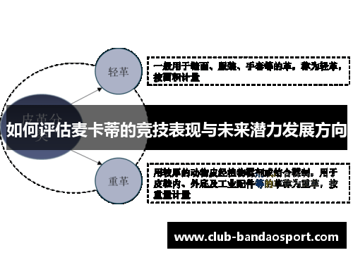 如何评估麦卡蒂的竞技表现与未来潜力发展方向
