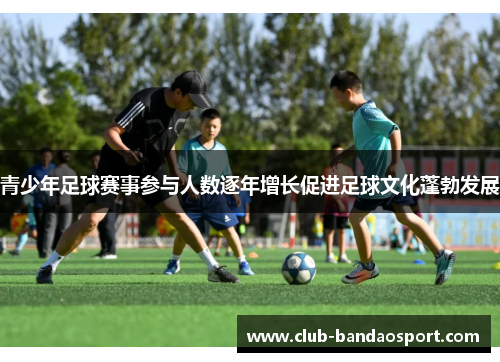 青少年足球赛事参与人数逐年增长促进足球文化蓬勃发展